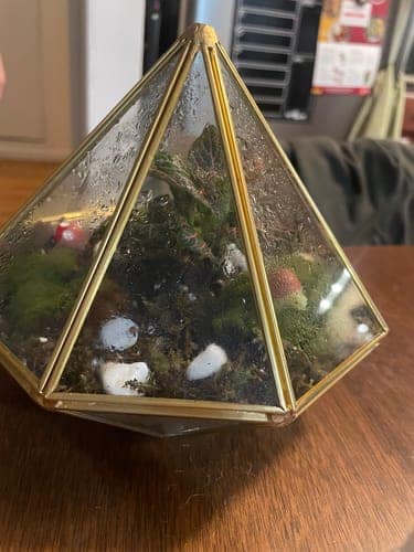 Made by Colleen N.